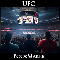 UFC Fight Night Roman Dolidze vs. Nassourdine Imavov